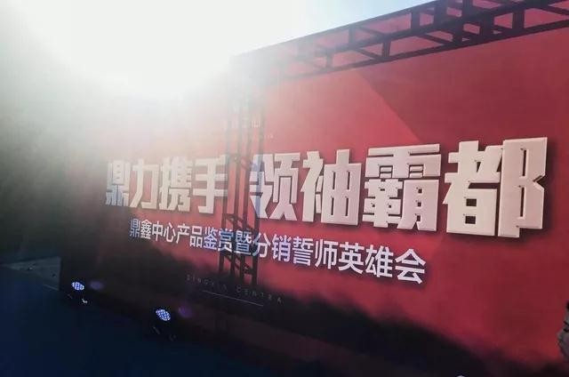 鼎力攜手，領(lǐng)袖霸都！合肥鼎鑫中心產(chǎn)品鑒賞暨分銷誓師英雄會(huì)圓滿落幕！