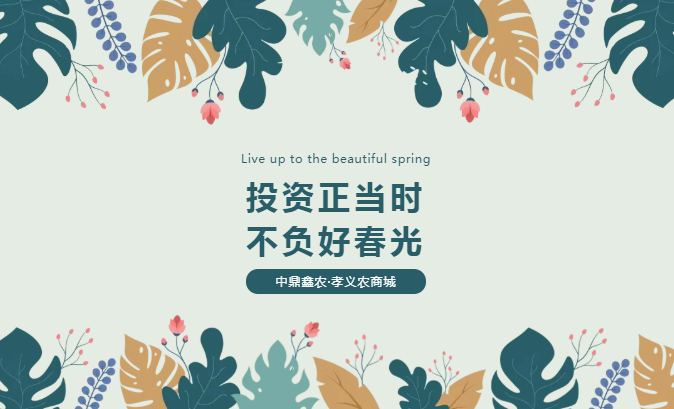 孝義唯一大產(chǎn)權(quán)的農(nóng)批商鋪，投資有保障！